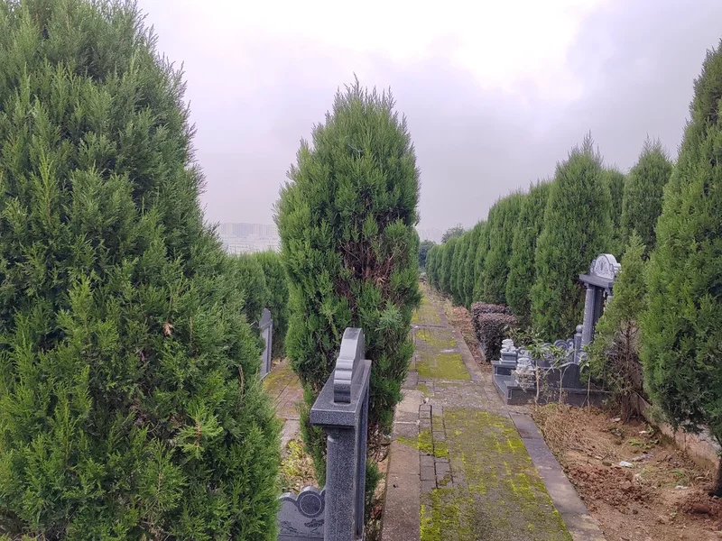 江北区寺坪陵园