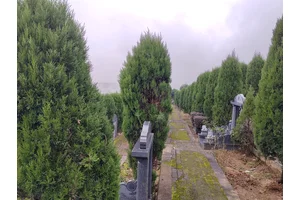 江北区寺坪陵园