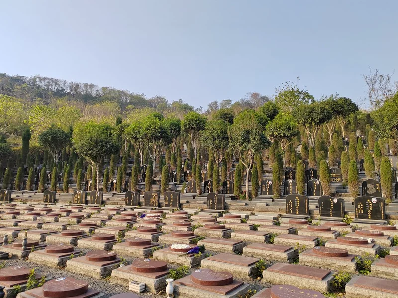 thumb_IMG_20230107_161843